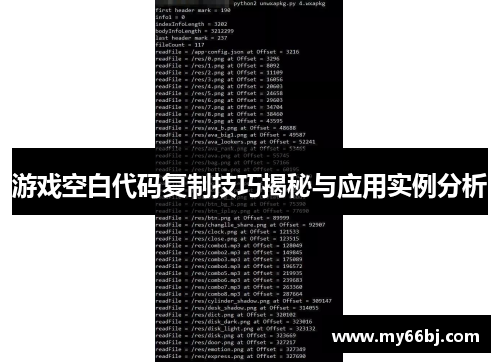 游戏空白代码复制技巧揭秘与应用实例分析